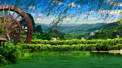 唯美清新湖泊柳枝