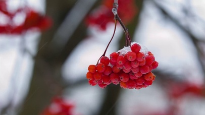 下雪了