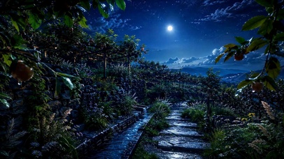 月夜星空山野田园夜景
