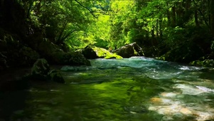 绿林流水