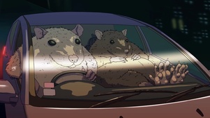 开车