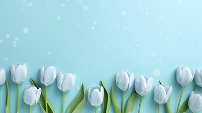 唯美清新郁金香