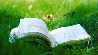 治愈系草坪翻书意境风光