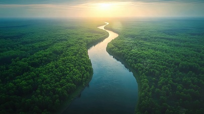 俯瞰清新绿色蜿蜒河流