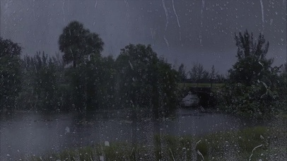 风雨雨滴屏