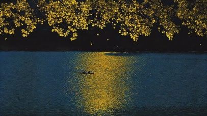 静谧夜色