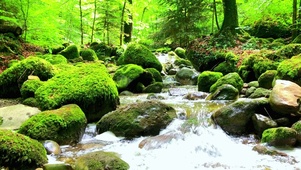 山间小溪  4K
