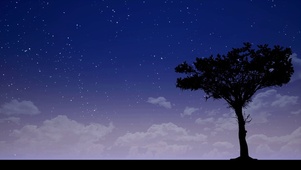 星空孤树