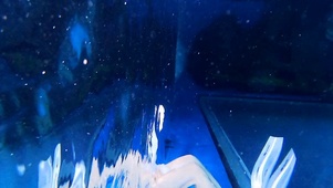 海底的世界