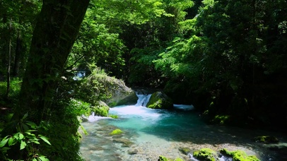 幽静绿林山间流水