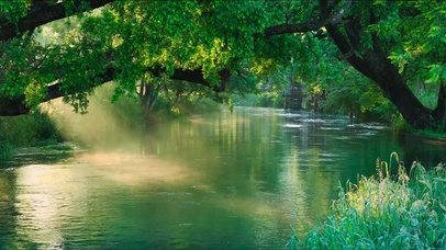 清澈雾气下的流水