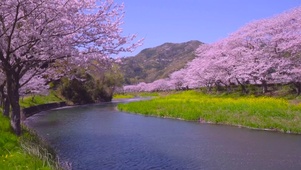 春暖花开