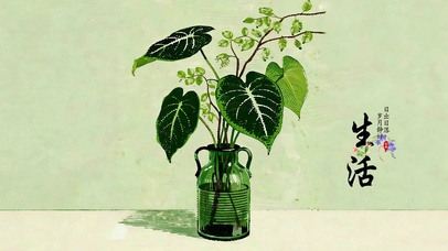 岁月静好  护眼治愈