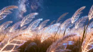 星空夜景树木带鱼屏