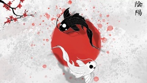 阴阳