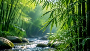 清新雨后竹林溪流