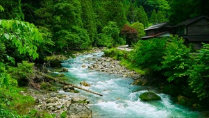 山下的流水
