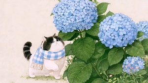 傲娇古灵精怪小猫
