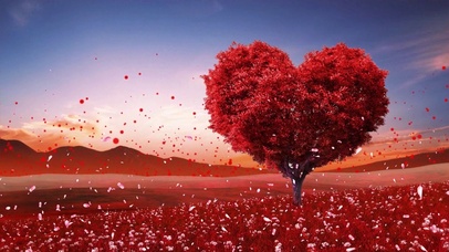 红色爱心树