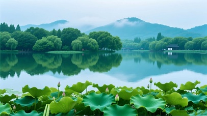 清新绿色护眼山水荷花