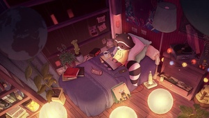 夜晚的小浣熊