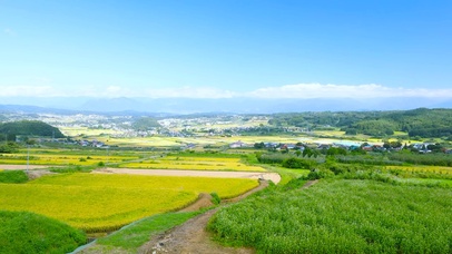 乡村田园