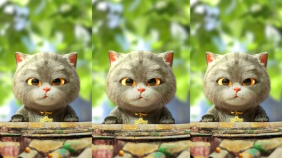 斑布猫-记得爱自己