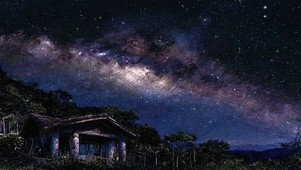星空树木