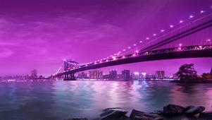 4K唯美夜景桥