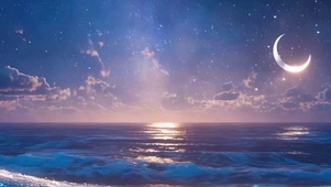 夜景星空海景带鱼屏