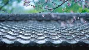 屋檐春雨