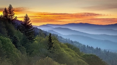 山景