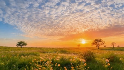 美丽的草原晚霞