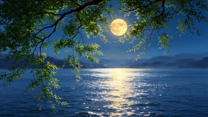月夜湖景