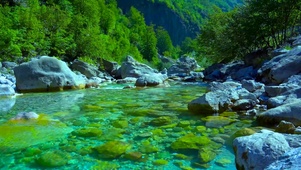 青山绿水溪流