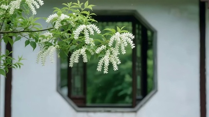 小清新护眼鲜花