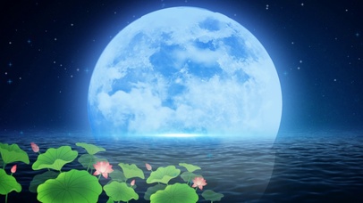 皎洁月光高清壁纸