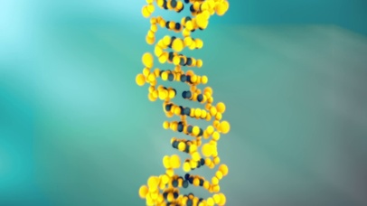 【3D视觉系】DNA