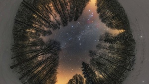 唯美治愈雪地森林星空