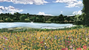 插画花花世界