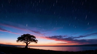孤树湖畔星空流星夜景
