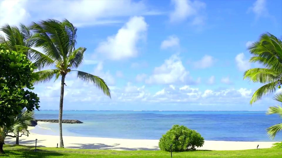 热带海滨实景，蔚蓝晴空下澄澈海面由浅蓝向深蓝渐变，近岸是洁白沙滩，岸边长有鲜绿色植被。