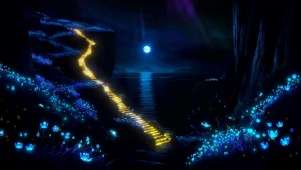 夜晚月光海岸