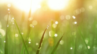 清新自然【2K工作专用白噪音】