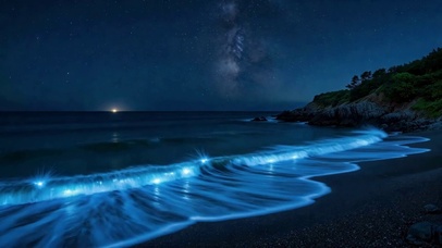 星空荧光海浪海岸夜景