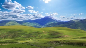 西藏草原风景