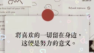 努力的意义