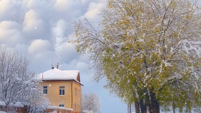 雪景树木房屋河流带鱼屏