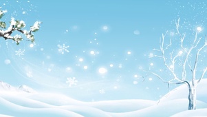 冬天雪地松柏蓝色清新冬天到了