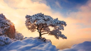 冬雪天空